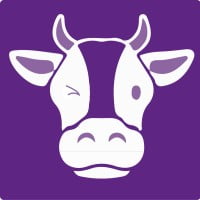 Strategic Digital Consultant & Founder