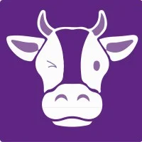 Strategic Digital Consultant & Founder